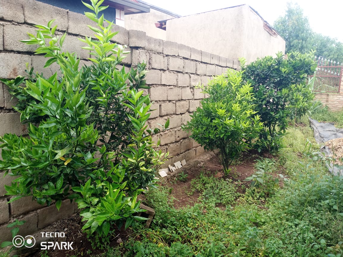 House for sale in Kamoyi