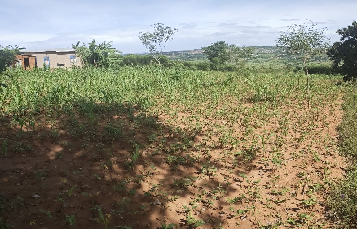 Land for sale in Bugesera