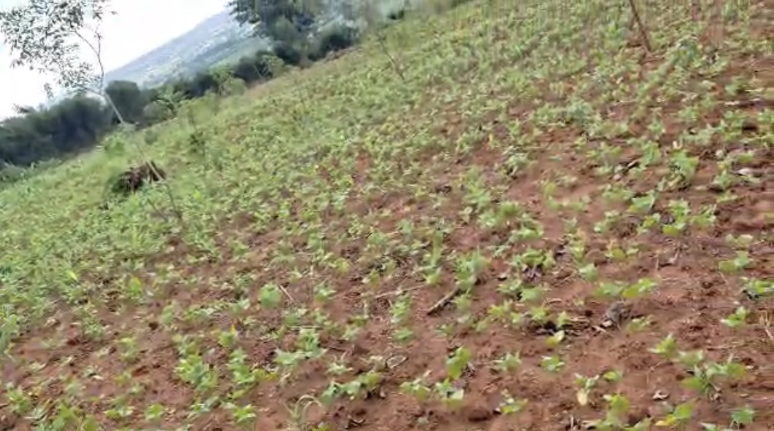 Land for sale in Bugesera