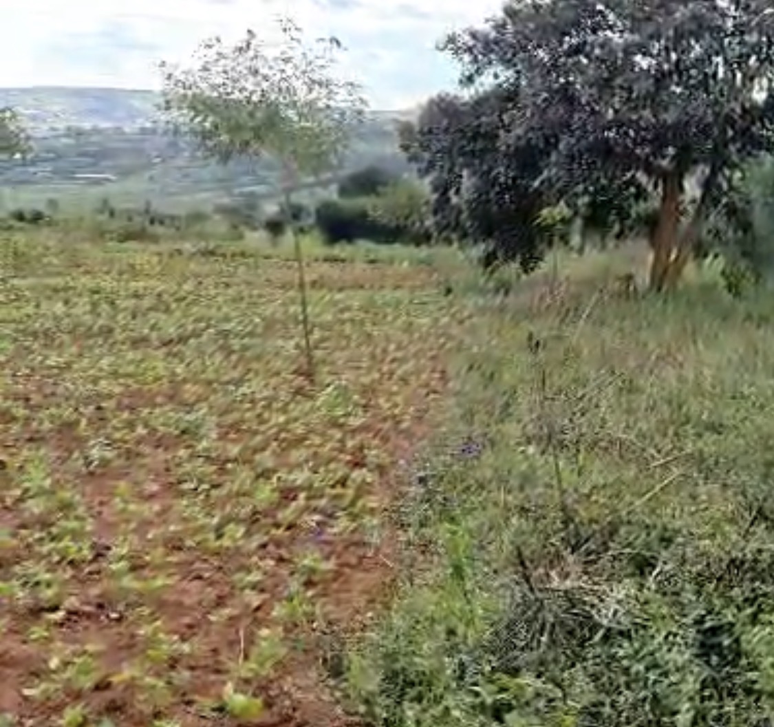 Land for sale in Bugesera