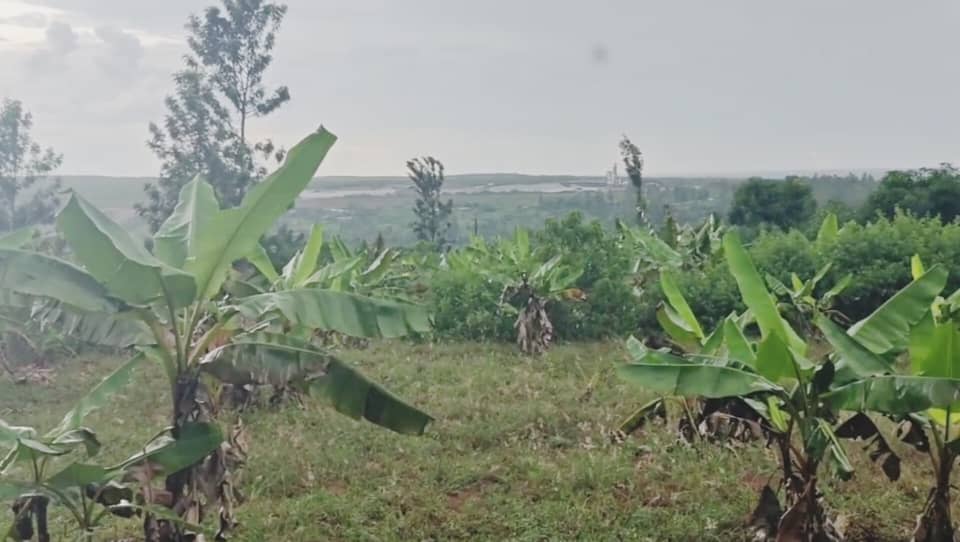 Prime Investment Land for Sale Near Bugesera International Airport