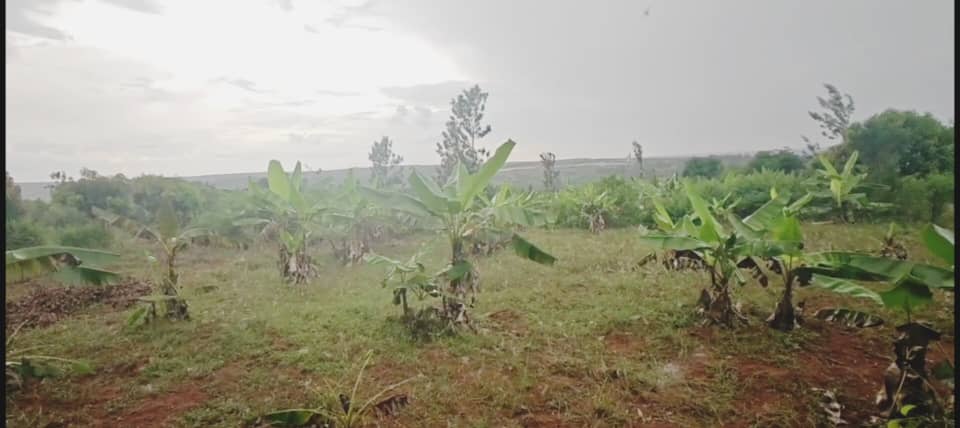 Prime Investment Land for Sale Near Bugesera International Airport