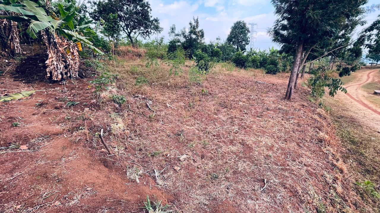Plot for sale in Gasabo , Nduba