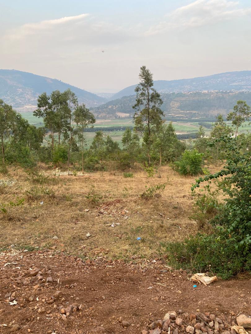 Three Plots for sale in Ruyenzi