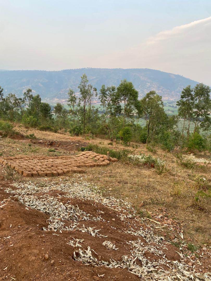 Three Plots for sale in Ruyenzi