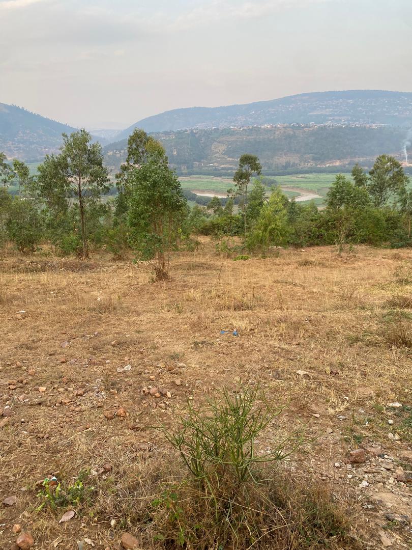Three Plots for sale in Ruyenzi