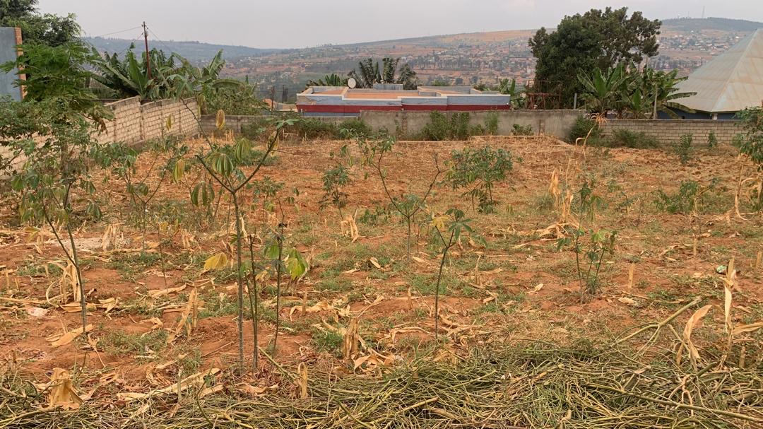 Prime Land for sale in Bugesera ,Murambi