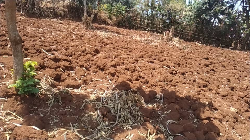 Land for sale in Rusinzi district,Mundima