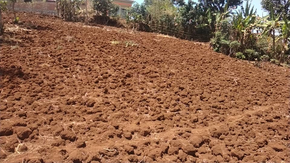 Land for sale in Rusinzi district,Mundima