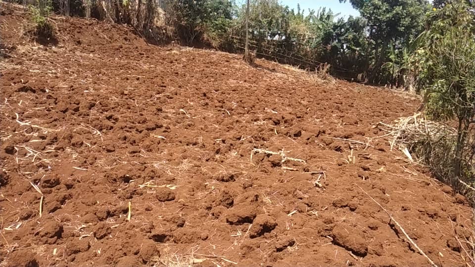 Land for sale in Rusinzi district,Mundima