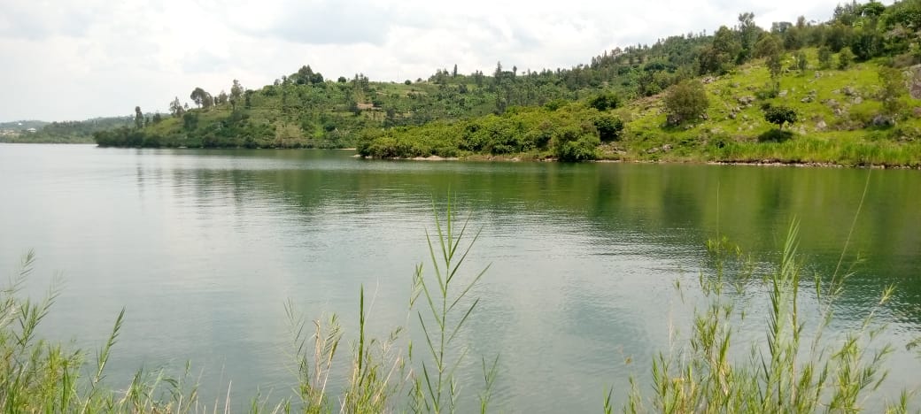 LAKE KIVU SHORES' LAND FOR SALE